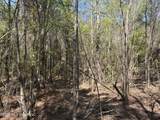  Auburn Drive - Photo 3