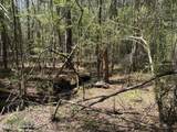  Auburn Drive - Photo 7