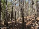  Auburn Drive - Photo 8