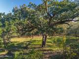 1017 Courthouse Road - Photo 7