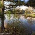 0 Highway 603 - Photo 5