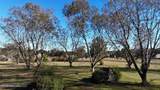2655 Highway 43 - Photo 8