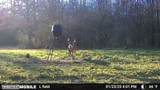 3194 James Road - Photo 101