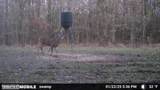 3194 James Road - Photo 102