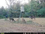 3194 James Road - Photo 107