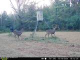 3194 James Road - Photo 108
