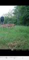 3194 James Road - Photo 109