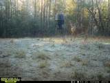 3194 James Road - Photo 115