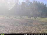 3194 James Road - Photo 94