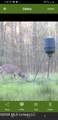 3194 James Road - Photo 98