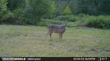 3194 James Road - Photo 99