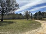 Nhn New Arbor Road - Photo 6