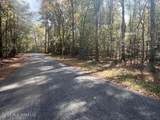 0 Pelahatchie Road - Photo 3