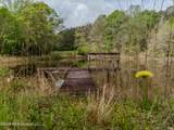 501 Stanford Lake Road - Photo 13