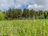 501 Stanford Lake Road - Photo 22