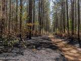 501 Stanford Lake Road - Photo 32