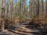 501 Stanford Lake Road - Photo 34