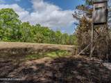 501 Stanford Lake Road - Photo 35