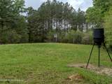 501 Stanford Lake Road - Photo 39