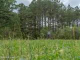 501 Stanford Lake Road - Photo 40