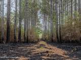 501 Stanford Lake Road - Photo 45