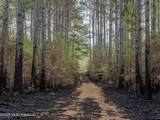 501 Stanford Lake Road - Photo 46