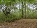 501 Stanford Lake Road - Photo 48