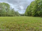 501 Stanford Lake Road - Photo 50