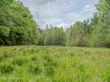501 Stanford Lake Road - Photo 51