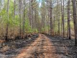 501 Stanford Lake Road - Photo 56
