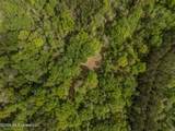 501 Stanford Lake Road - Photo 68