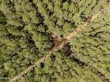 501 Stanford Lake Road - Photo 80
