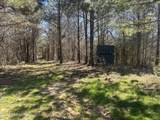 Mississippi 41 - Photo 17
