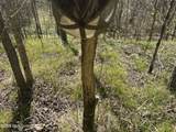  Mississippi 41 - Photo 18