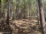  Mississippi 41 - Photo 23