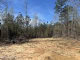  Mississippi 41 - Photo 24