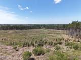  Oldenburg Road - Photo 10