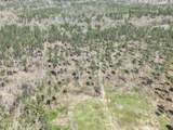  Oldenburg Road - Photo 16