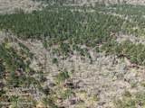  Oldenburg Road - Photo 18