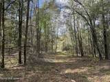  Oldenburg Road - Photo 38