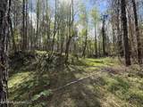  Oldenburg Road - Photo 42