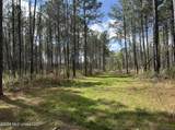  Oldenburg Road - Photo 46