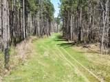  Oldenburg Road - Photo 5