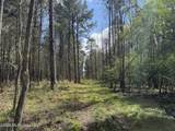  Oldenburg Road - Photo 52