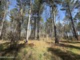  Oldenburg Road - Photo 56