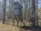  Oldenburg Road - Photo 59