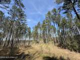  Oldenburg Road - Photo 66