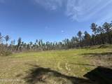  Oldenburg Road - Photo 68