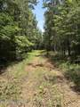  County Road 180 - Photo 33