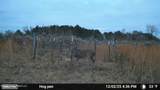 86 Cripple Creek Lane - Photo 27